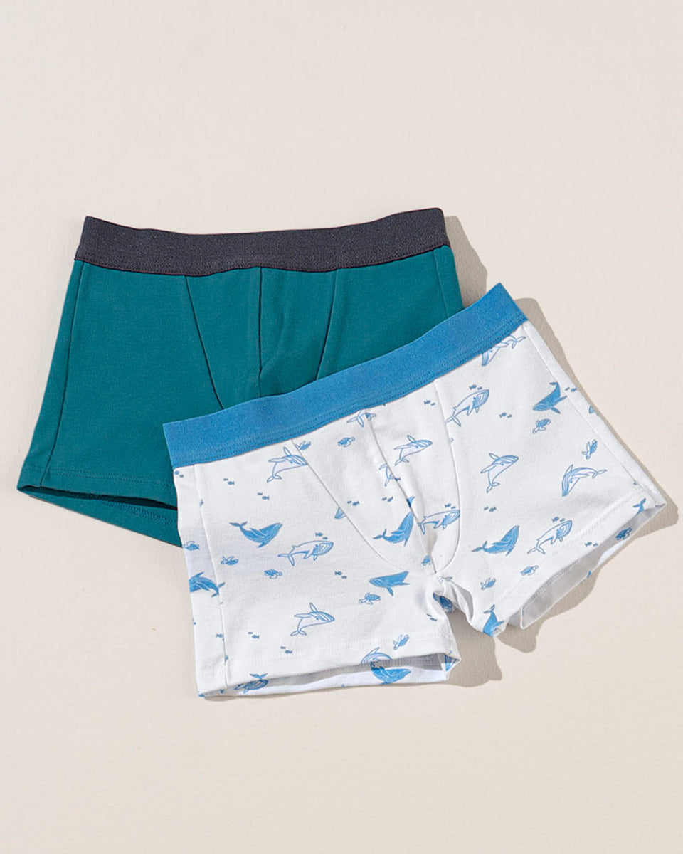 Paquete x 2 bóxers leo en algodón para niños